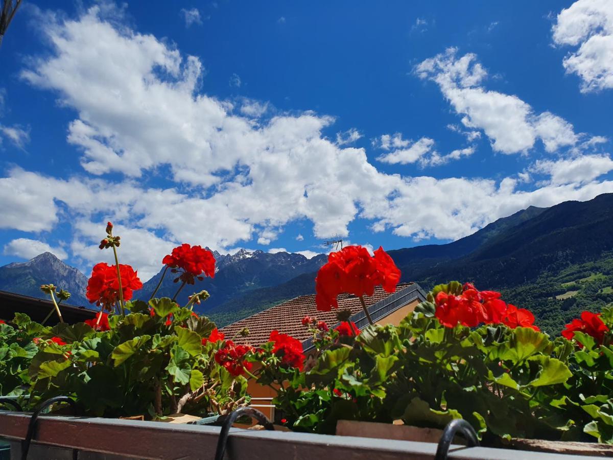 B&B Il Pettirosso Malonno Экстерьер фото