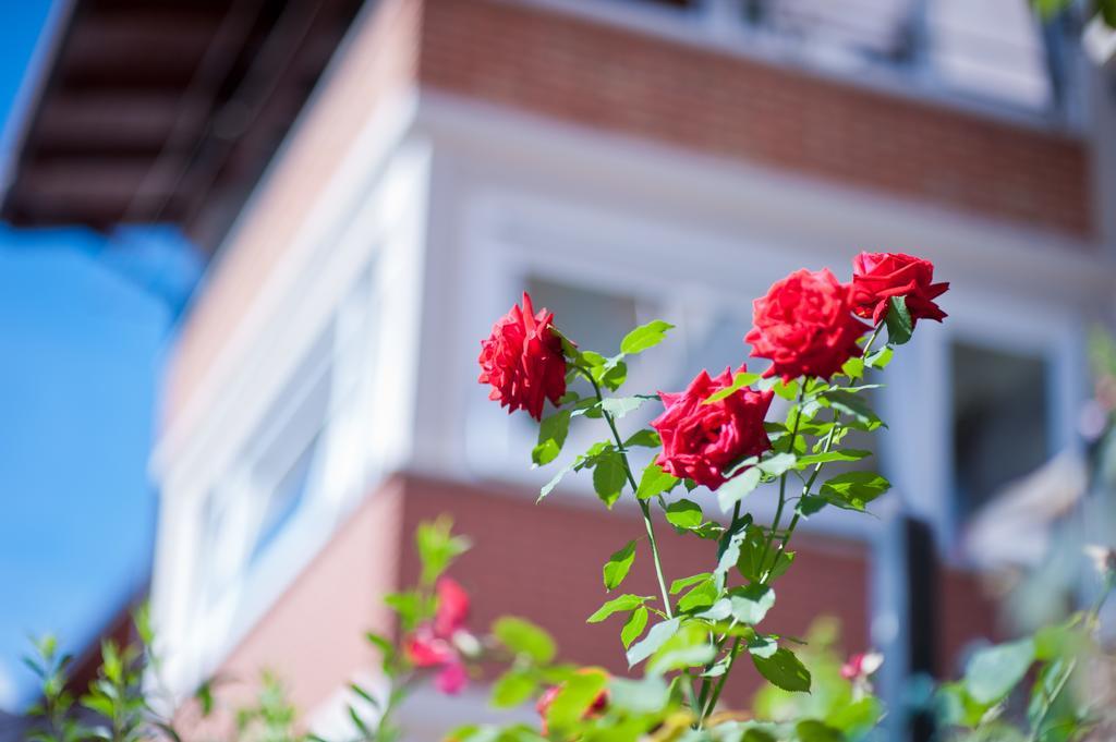 B&B Il Pettirosso Malonno Экстерьер фото